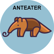 anteater