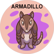 armadillo