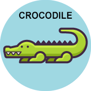 crocodile