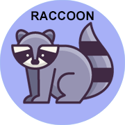 raccoon