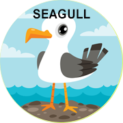 seagull