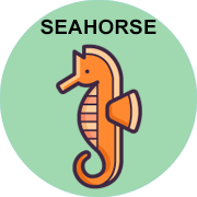 seahorse