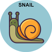 snail