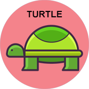 turtle